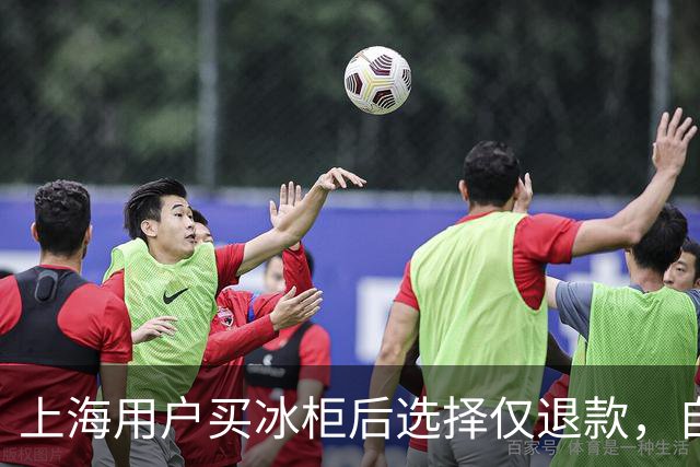 上海用户买冰柜后选择仅退款，自称冰柜"已销毁"无法退货，商家跨省索要后发现冰柜正插电使用，结局亮了