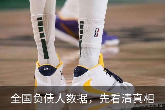全国负债人数据,先看清真相