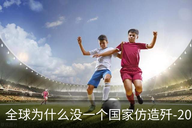 全球为什么没一个国家仿造歼-20,瑞典已破译!
